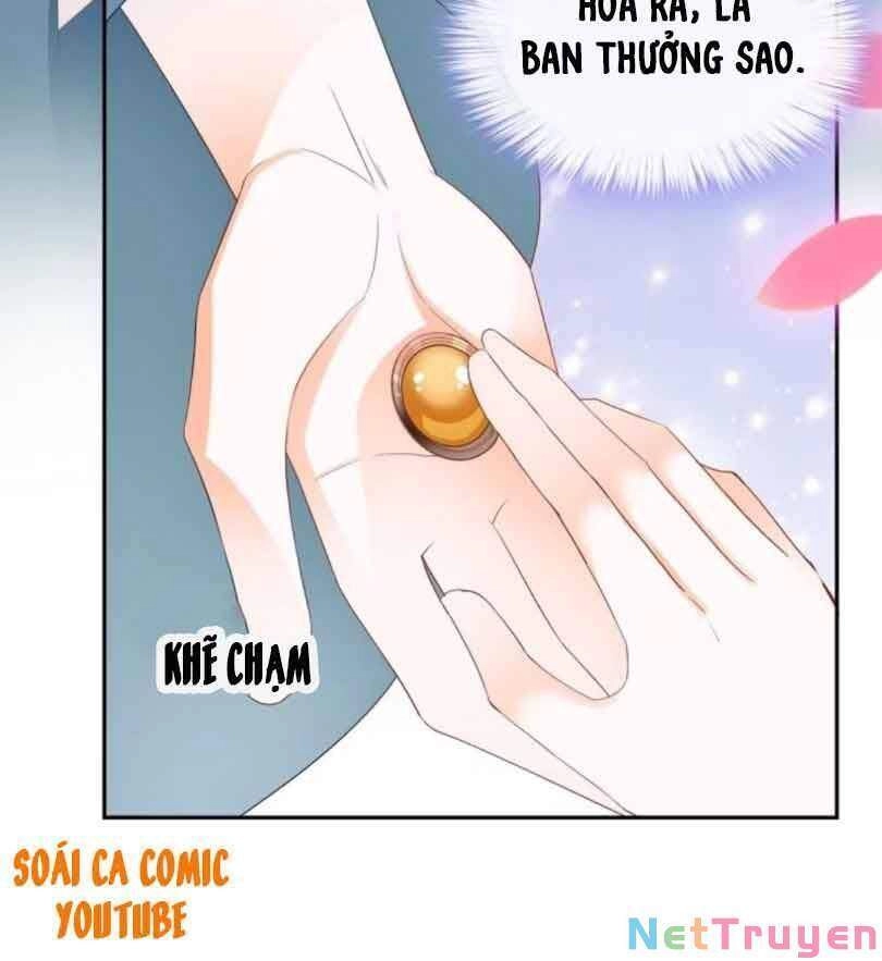 Bổn Vương Muốn Ngươi Chapter 50 - 5