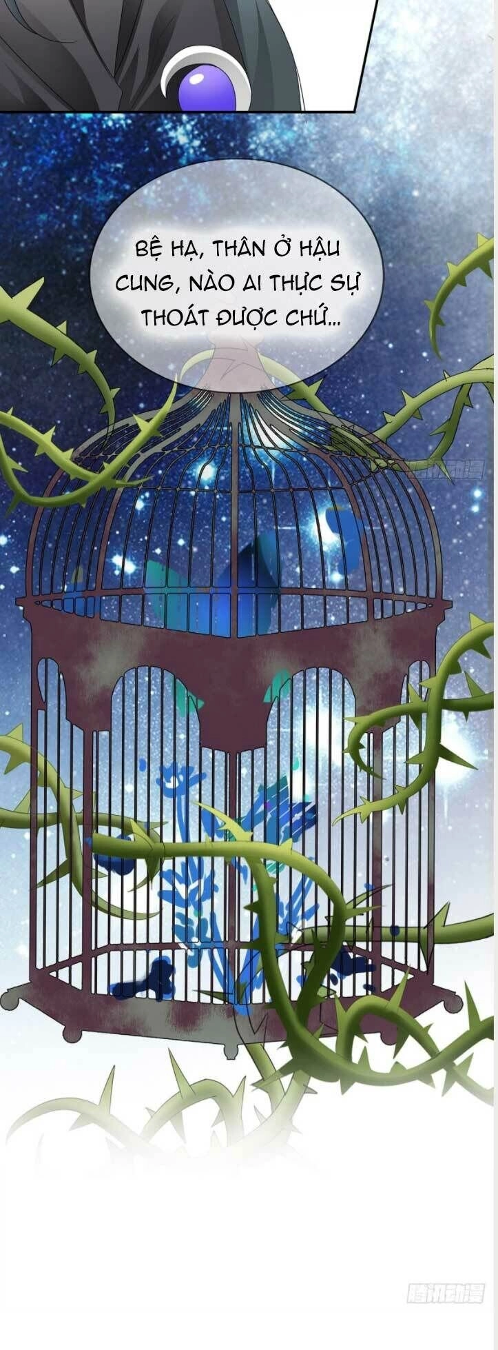 Bổn Vương Muốn Ngươi Chapter 134 - 14