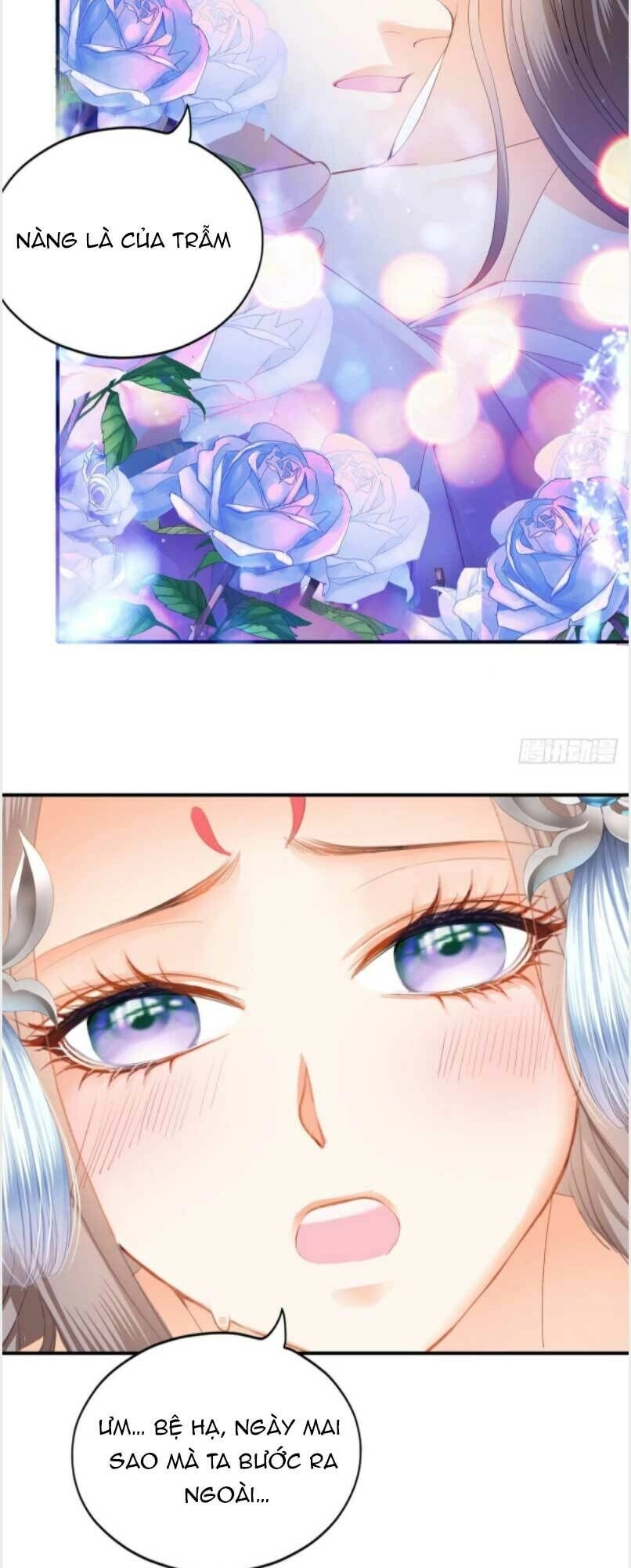 Bổn Vương Muốn Ngươi Chapter 148 - 10