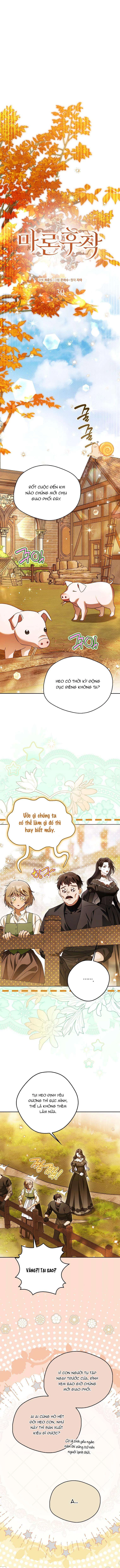 Hầu tước Maron Chapter 30 - 8