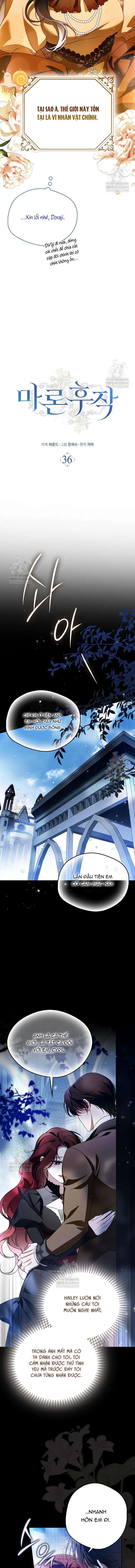 Hầu tước Maron Chapter 36 - 6