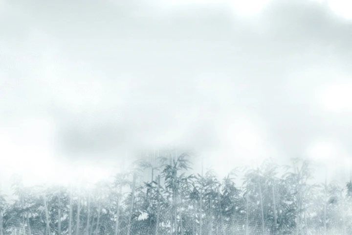 Đường Môn Truyền Kỳ Chapter 43 - 31