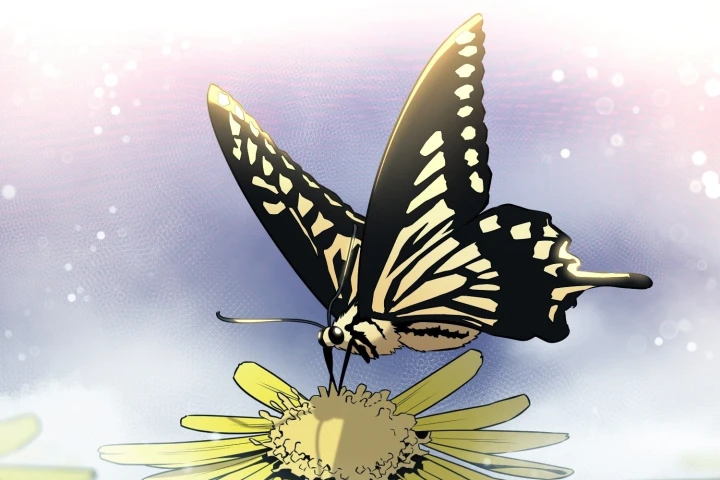 Đường Môn Truyền Kỳ Chapter 43 - 69