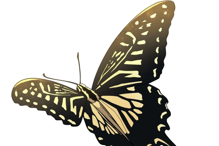 Đường Môn Truyền Kỳ Chapter 43 - 74