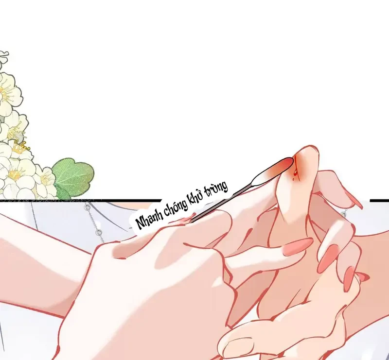 Sau Khi Xuyên Không Thành Thiên Kim Giả, Ta Lấy Lòng Thiên Kim Thật Sống Qua Ngày Chapter 21 - 46