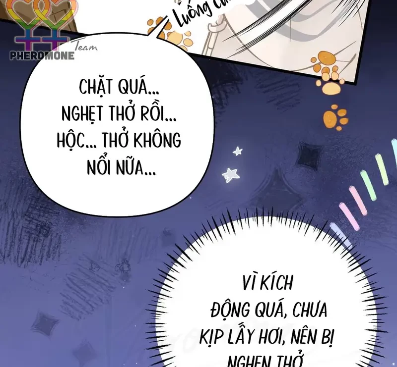 Sau Khi Xuyên Không Thành Thiên Kim Giả, Ta Lấy Lòng Thiên Kim Thật Sống Qua Ngày Chapter 22 - 113