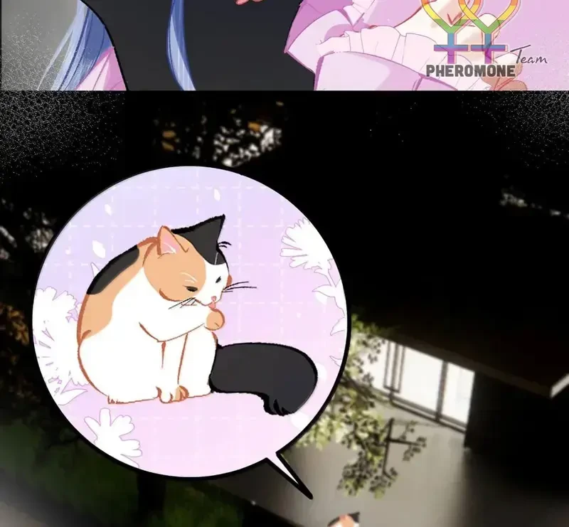 Sau Khi Xuyên Không Thành Thiên Kim Giả, Ta Lấy Lòng Thiên Kim Thật Sống Qua Ngày Chapter 32 - 44