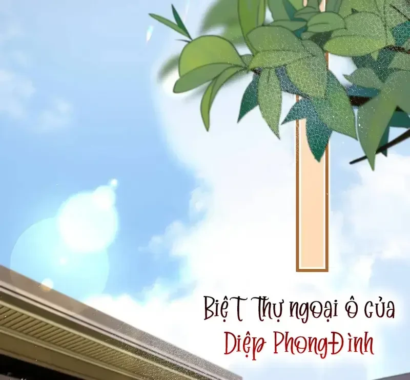 Sau Khi Xuyên Không Thành Thiên Kim Giả, Ta Lấy Lòng Thiên Kim Thật Sống Qua Ngày Chapter 33 - 39