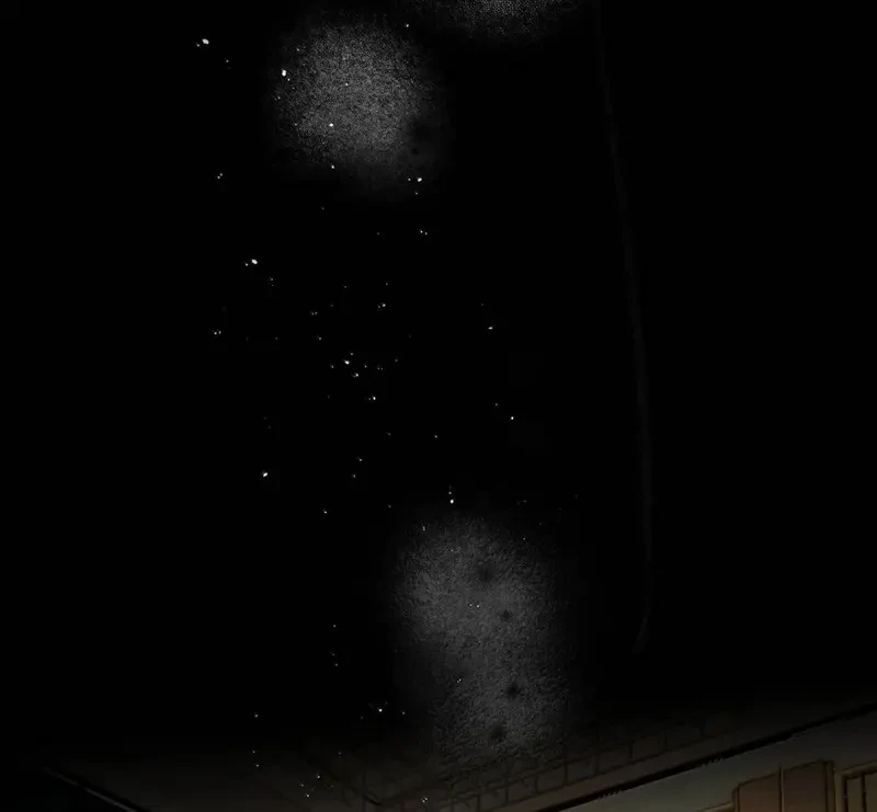 Sau Khi Xuyên Không Thành Thiên Kim Giả, Ta Lấy Lòng Thiên Kim Thật Sống Qua Ngày Chapter 34 - 51