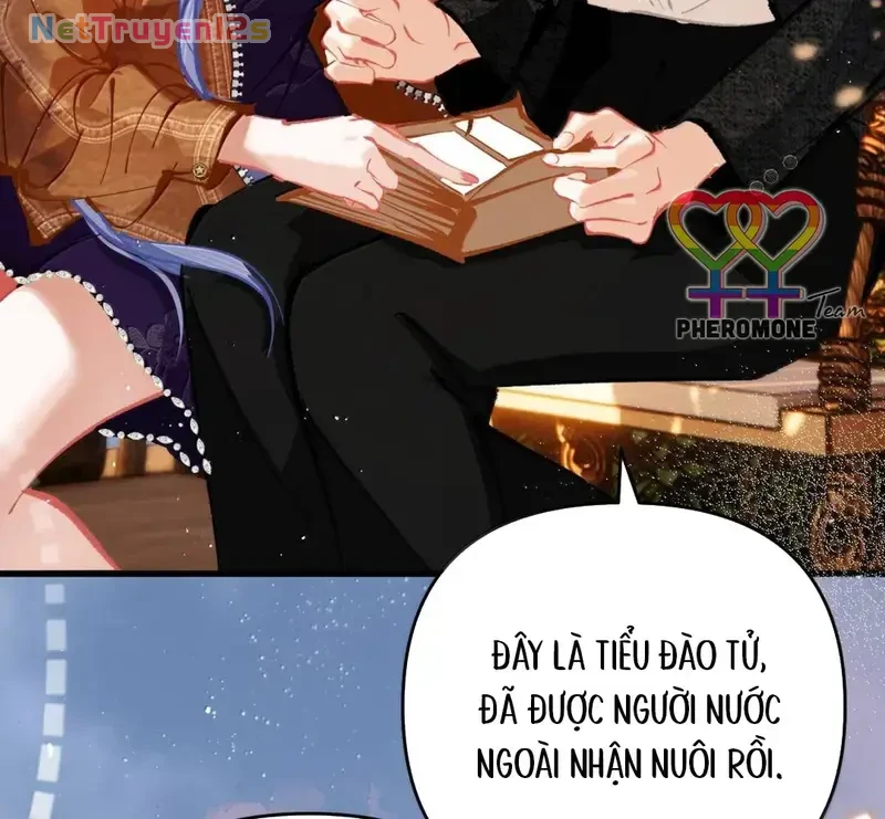 Sau Khi Xuyên Không Thành Thiên Kim Giả, Ta Lấy Lòng Thiên Kim Thật Sống Qua Ngày Chapter 39 - 12