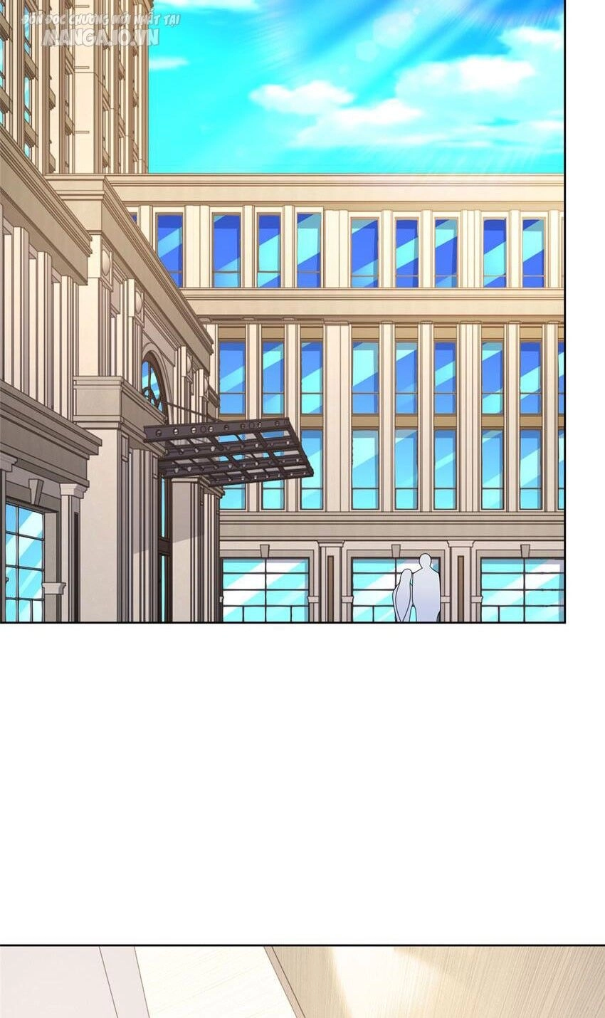 Mỗi Tuần Ta Có Một Nghề Nghiệp Mới Chapter 510 - 25