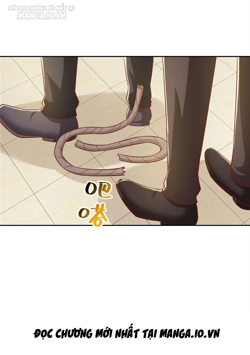 Mỗi Tuần Ta Có Một Nghề Nghiệp Mới Chapter 513 - 21