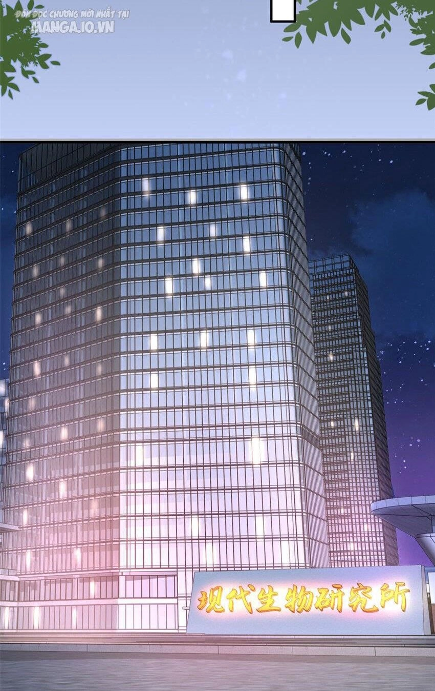 Mỗi Tuần Ta Có Một Nghề Nghiệp Mới Chapter 517 - 6