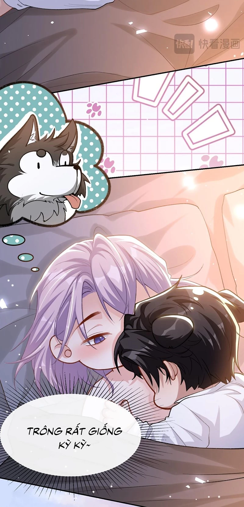 Quan Hệ Thế Thân Chapter 223 - 6