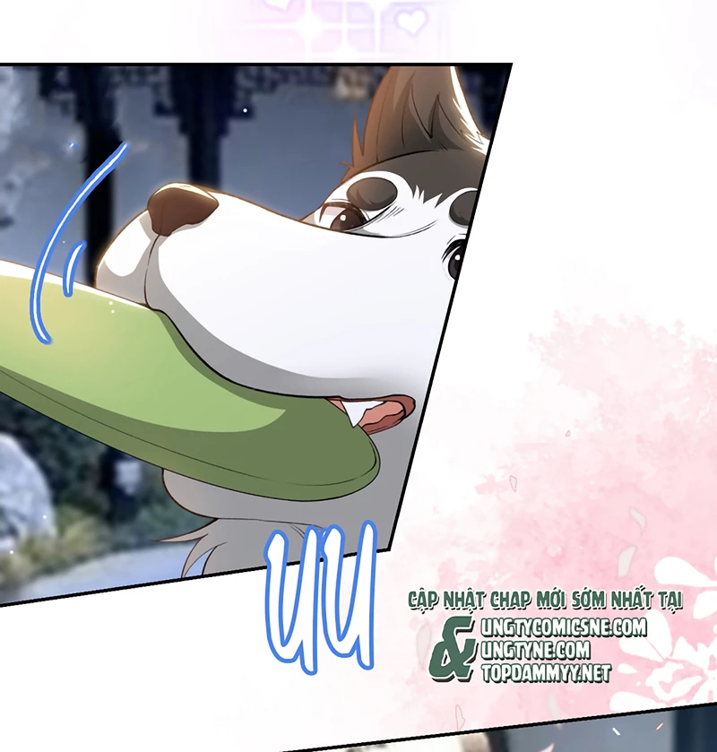 Quan Hệ Thế Thân Chapter 233 - 12