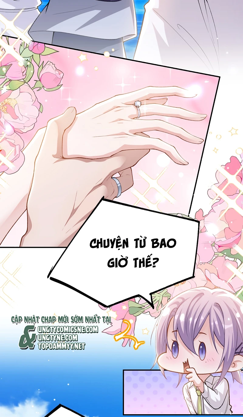 Quan Hệ Thế Thân Chapter 240 - 15