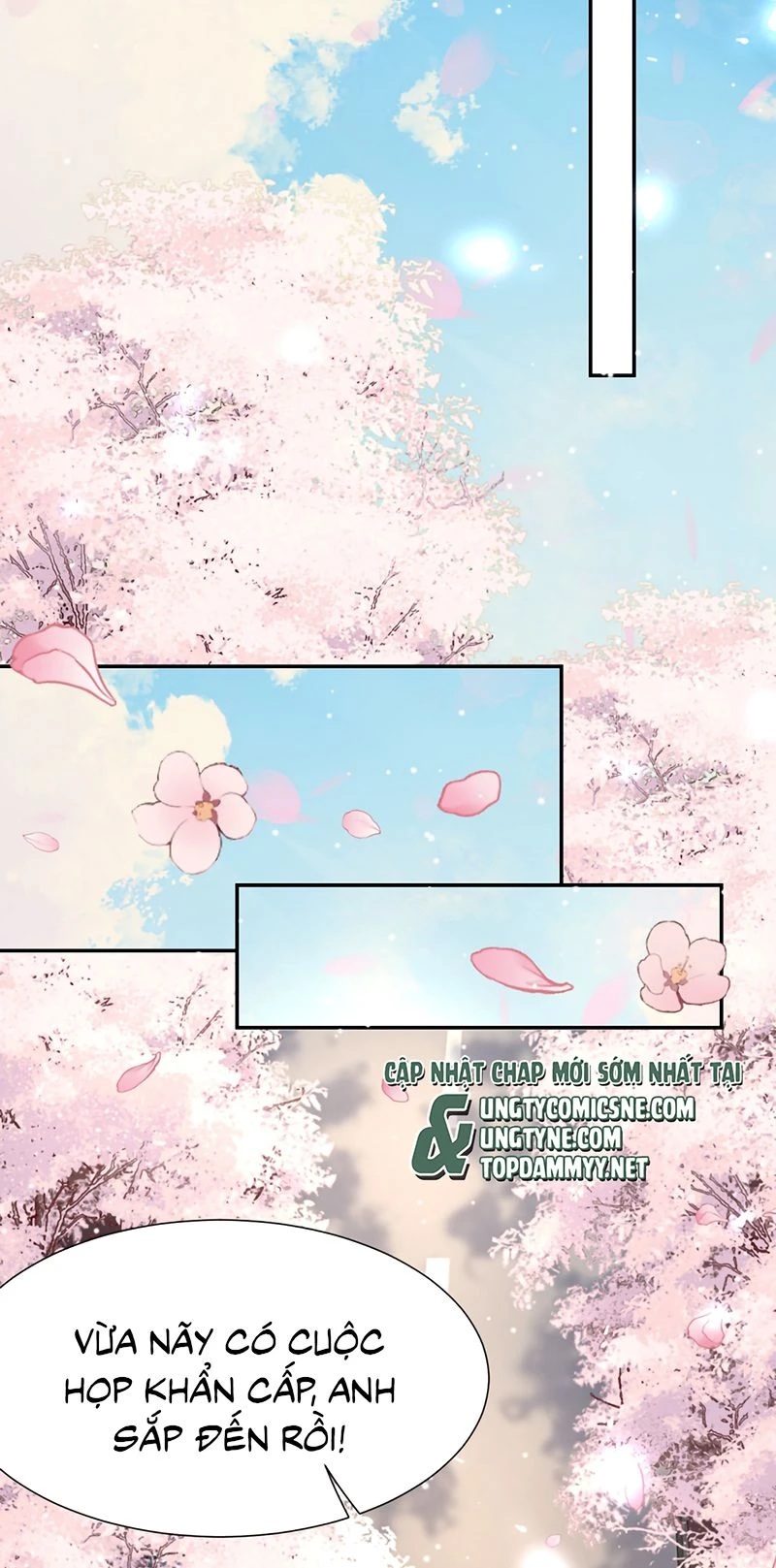 Quan Hệ Thế Thân Chapter 250 - 10