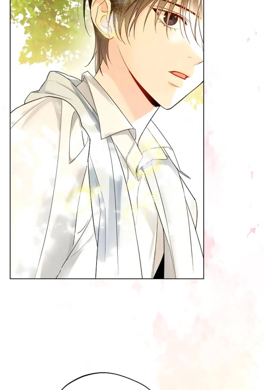 Tiểu Thư Crystal Là Một Người Đàn Ông Chapter 36 - 17