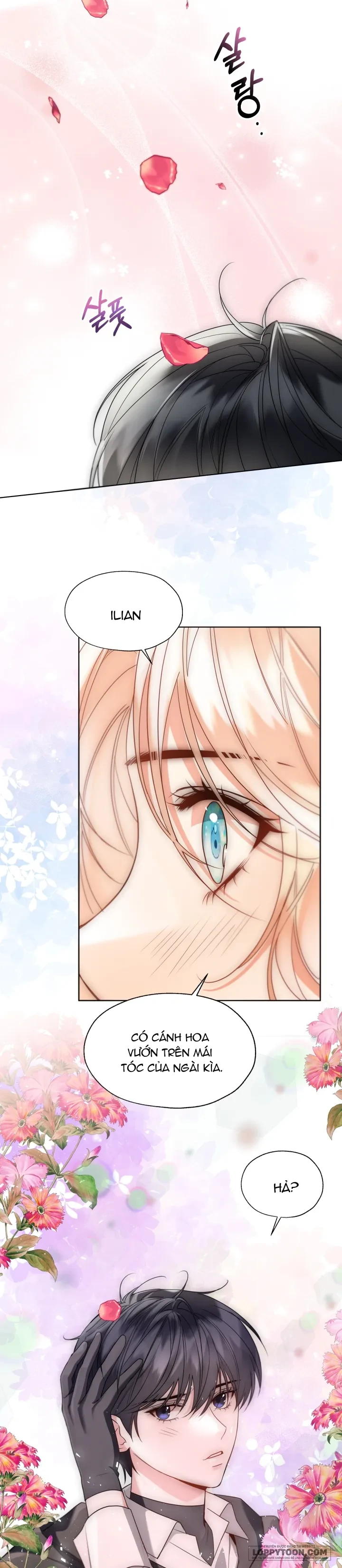 Tiểu Thư Crystal Là Một Người Đàn Ông Chapter 53 - 6