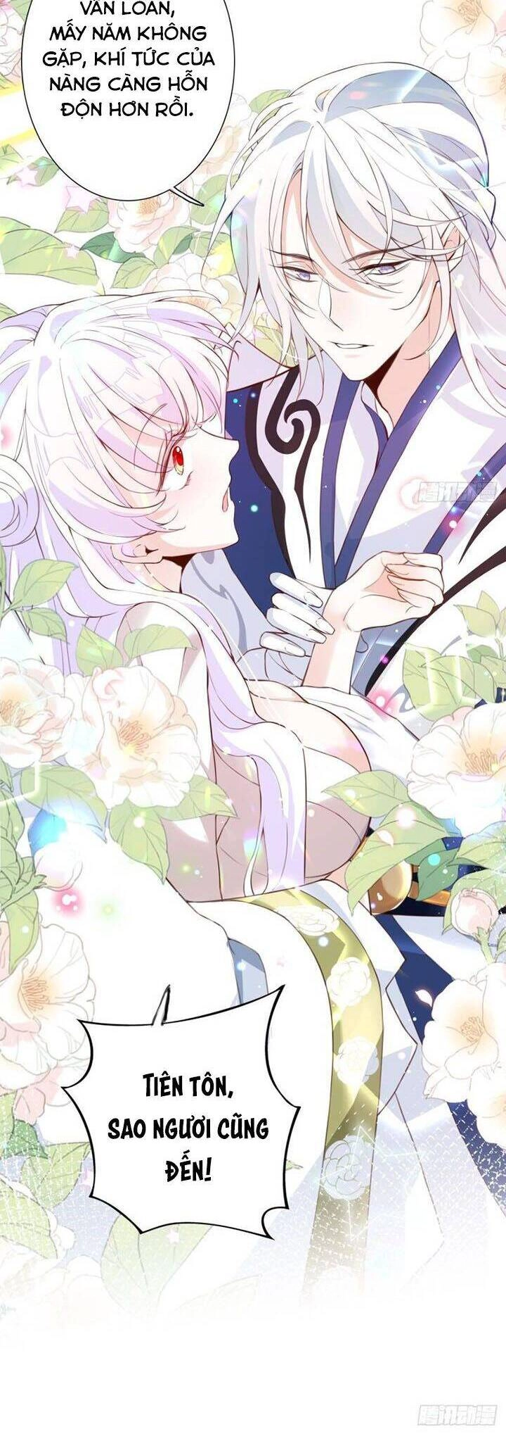 Hậu Cung Ba Ngàn Của Nãi Nãi Chapter 1 - 26