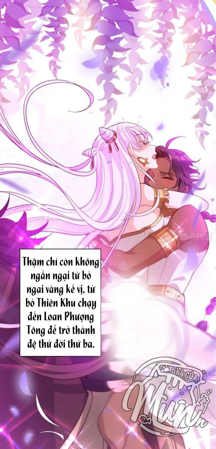 Hậu Cung Ba Ngàn Của Nãi Nãi Chapter 3 - 15