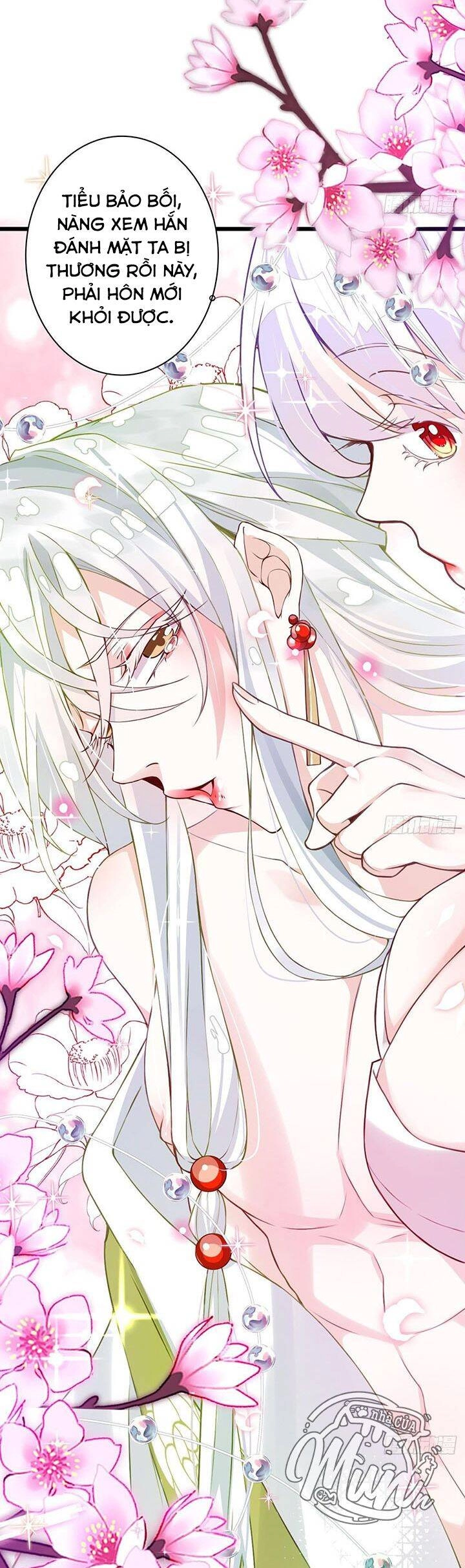 Hậu Cung Ba Ngàn Của Nãi Nãi Chapter 4 - 8