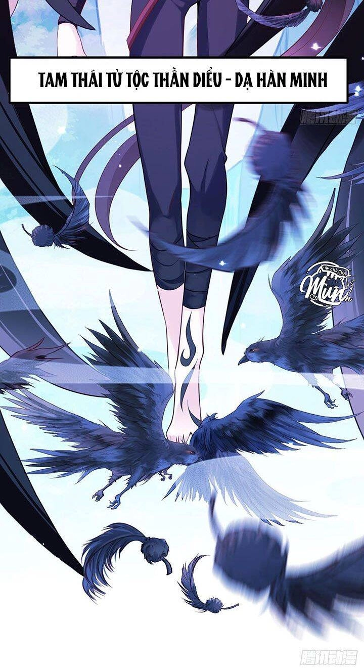 Hậu Cung Ba Ngàn Của Nãi Nãi Chapter 5 - 7