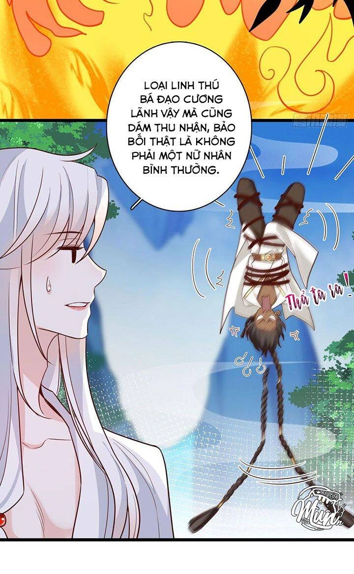 Hậu Cung Ba Ngàn Của Nãi Nãi Chapter 5 - 24