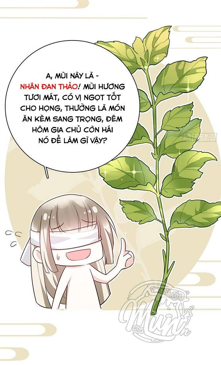 Hậu Cung Ba Ngàn Của Nãi Nãi Chapter 7 - 31