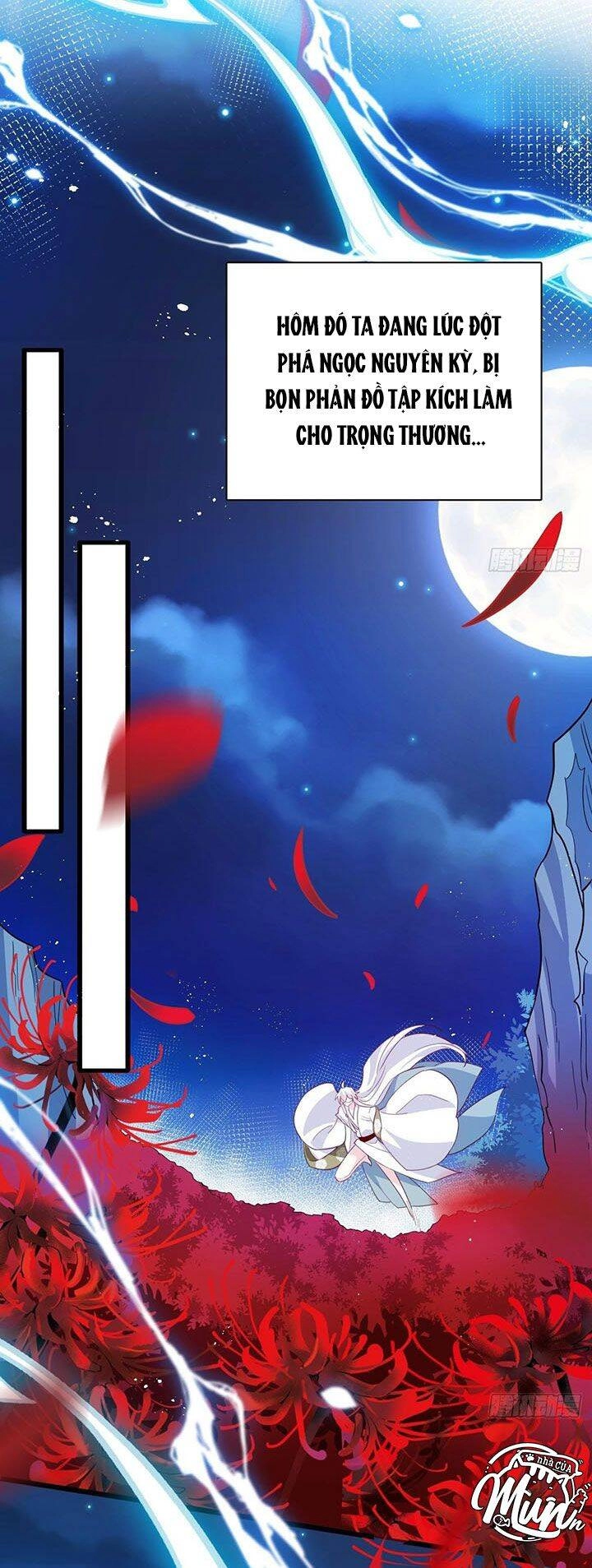 Hậu Cung Ba Ngàn Của Nãi Nãi Chapter 8 - 3