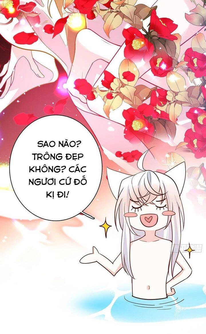 Hậu Cung Ba Ngàn Của Nãi Nãi Chapter 8 - 21