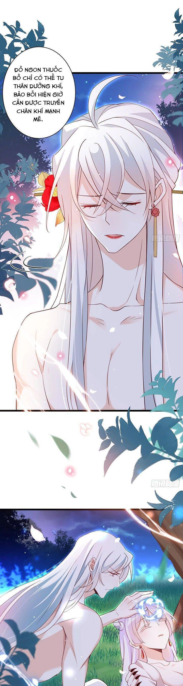 Hậu Cung Ba Ngàn Của Nãi Nãi Chapter 9 - 5