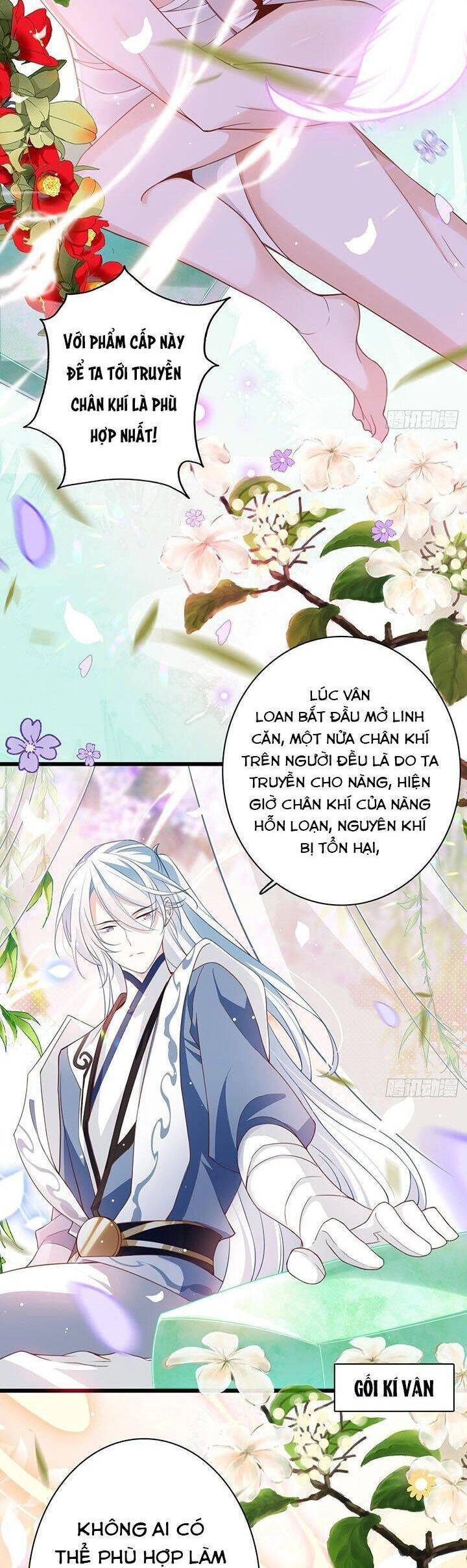 Hậu Cung Ba Ngàn Của Nãi Nãi Chapter 9 - 18