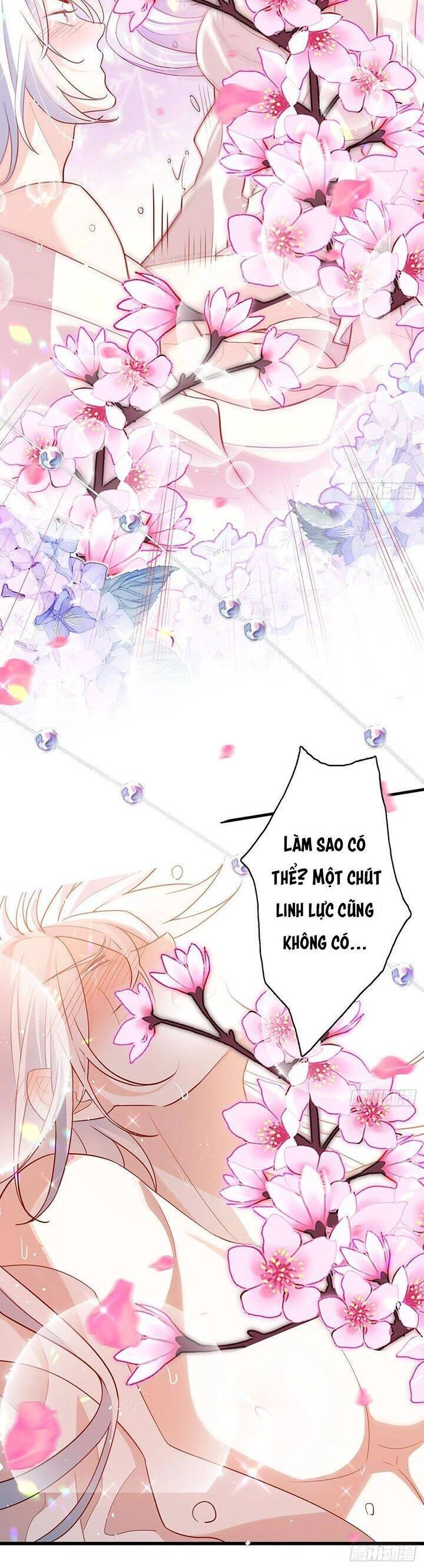 Hậu Cung Ba Ngàn Của Nãi Nãi Chapter 11 - 12