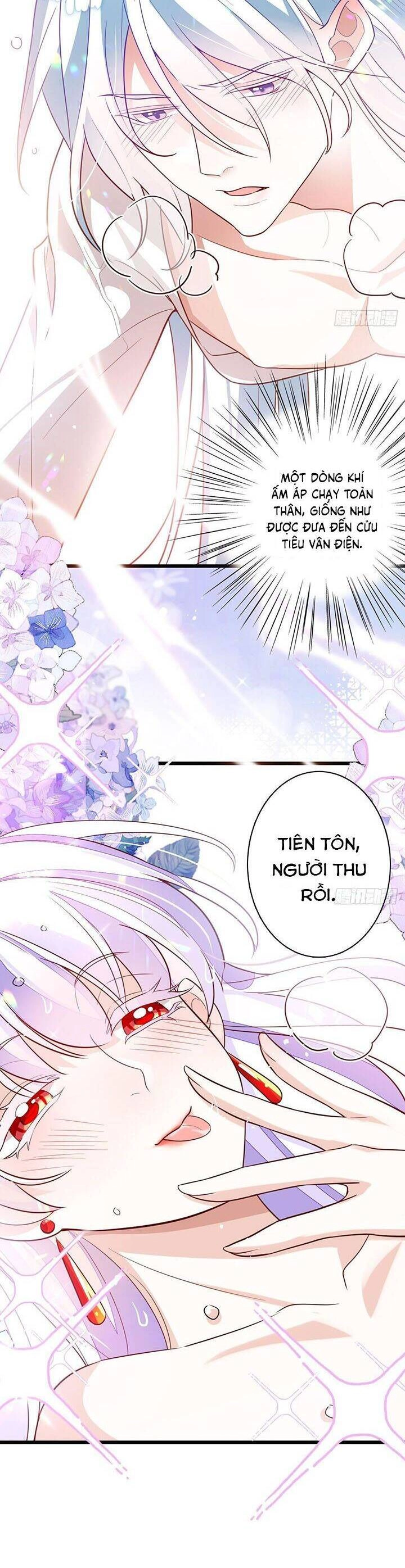 Hậu Cung Ba Ngàn Của Nãi Nãi Chapter 11 - 15