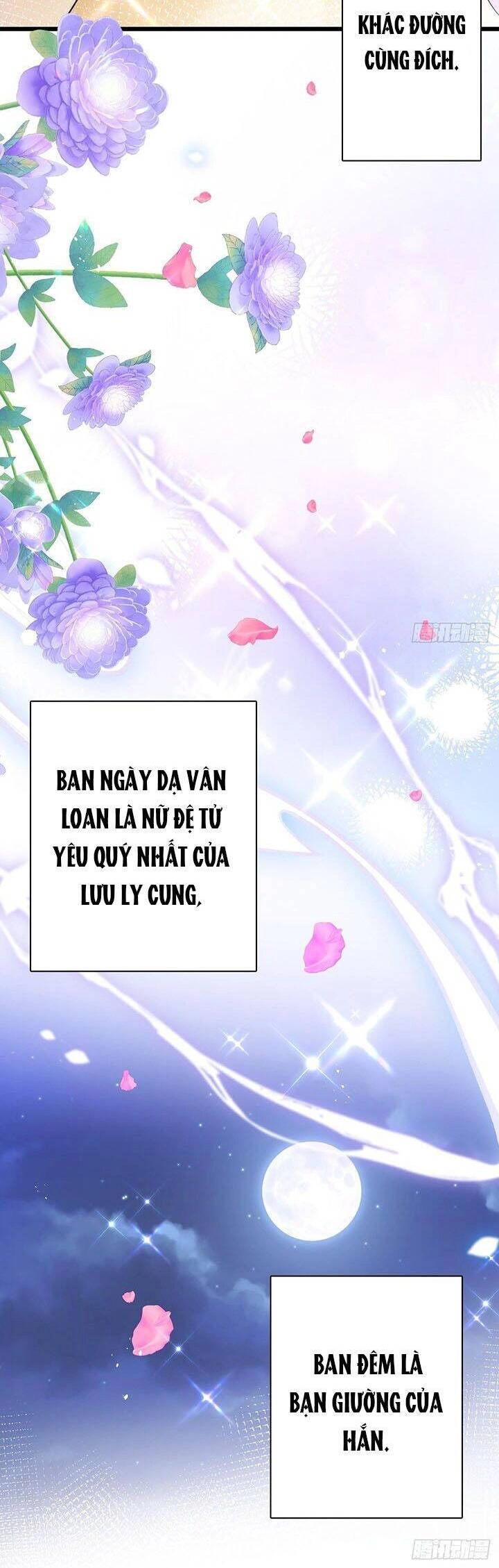 Hậu Cung Ba Ngàn Của Nãi Nãi Chapter 11 - 19