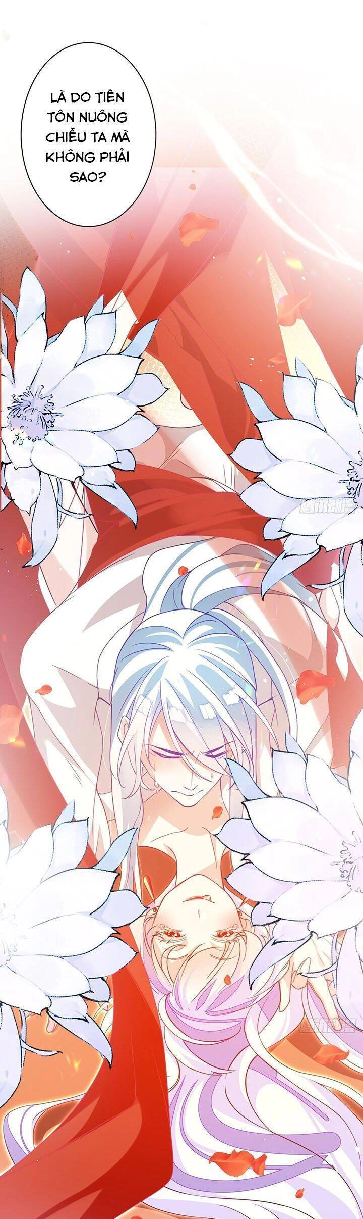 Hậu Cung Ba Ngàn Của Nãi Nãi Chapter 11 - 23