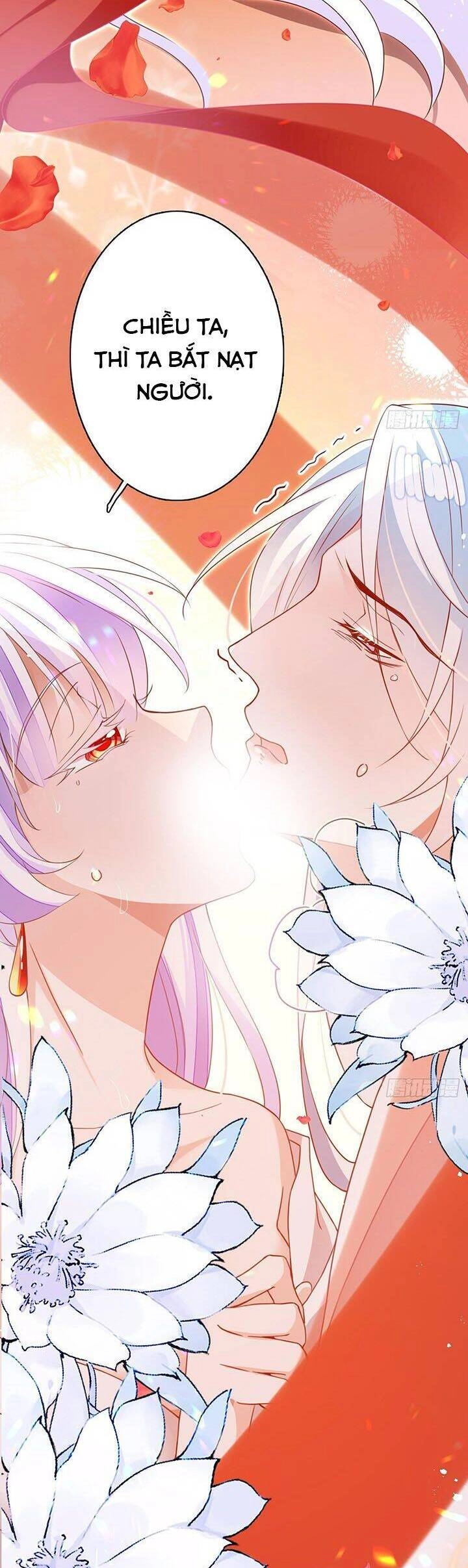 Hậu Cung Ba Ngàn Của Nãi Nãi Chapter 11 - 24