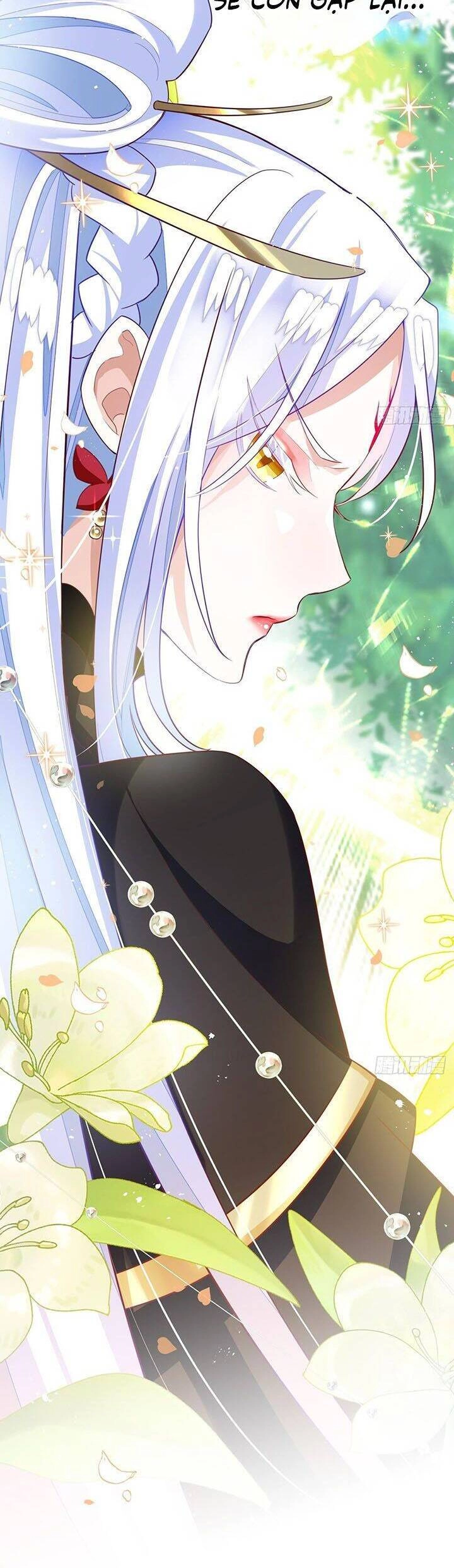 Hậu Cung Ba Ngàn Của Nãi Nãi Chapter 14 - 4