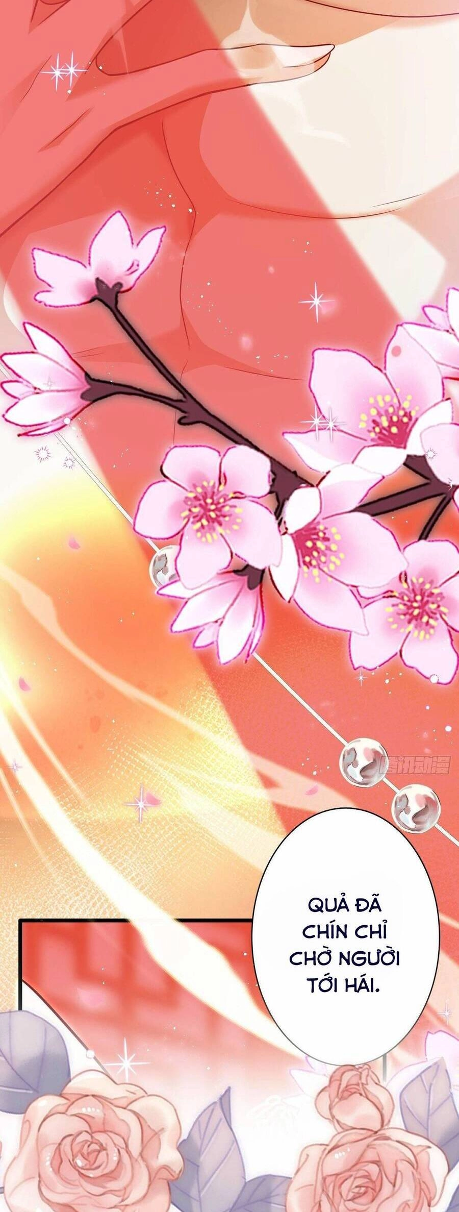 Hậu Cung Ba Ngàn Của Nãi Nãi Chapter 22 - 30