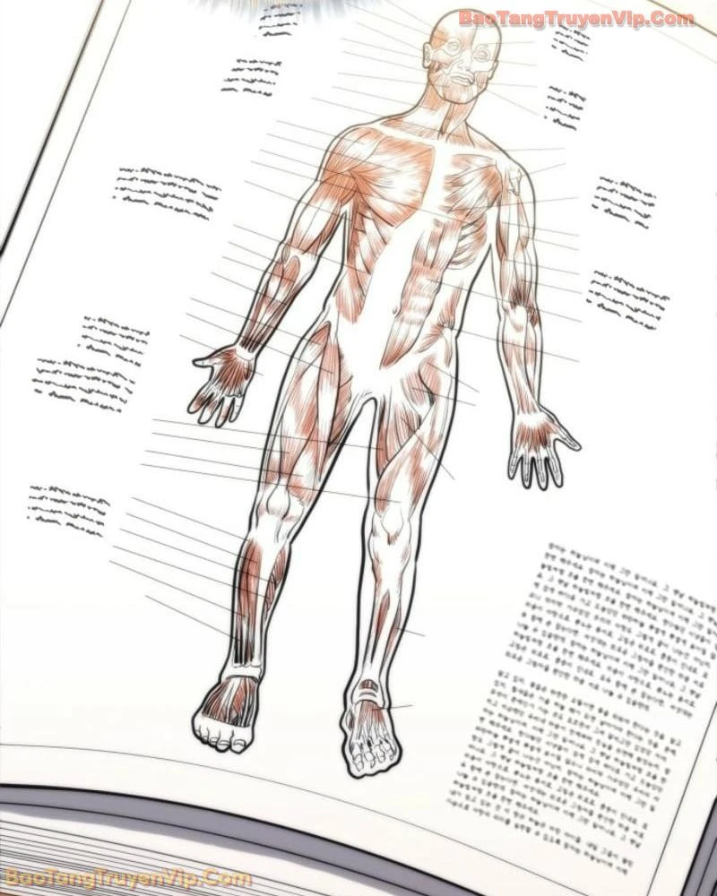 Thần Y Hoa Đà Tái Xuất Chapter 1 - 62