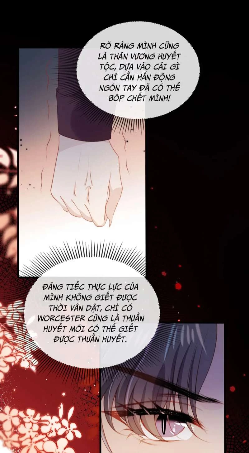 Hắc Hóa Phản Diện Sủng Lên Trời Chapter 71 - 27