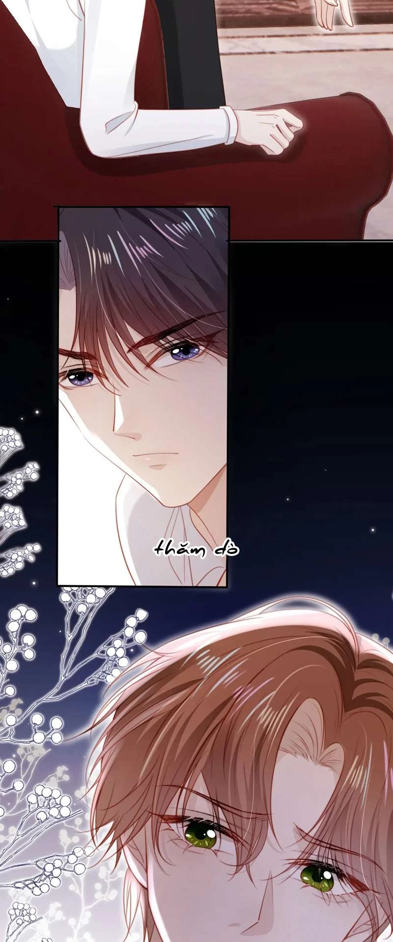 Hắc Hóa Phản Diện Sủng Lên Trời Chapter 124 - 13