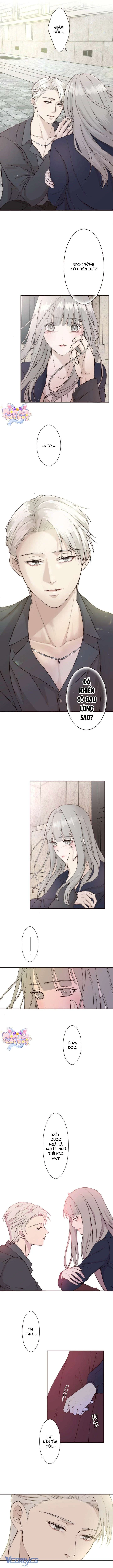 Cám Dỗ Nguy Hiểm Chapter 21 - 3