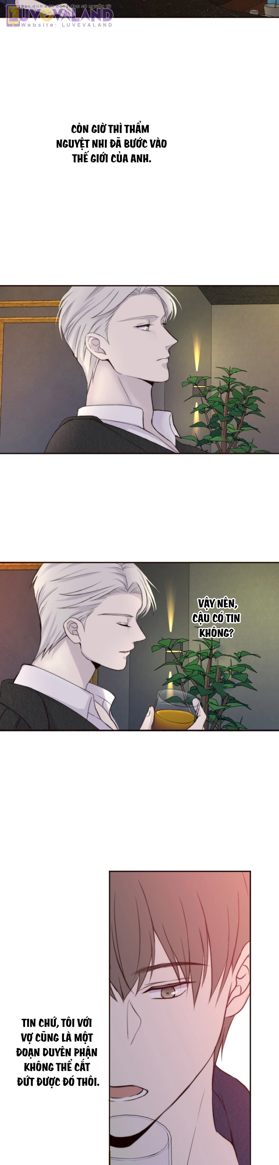 Cám Dỗ Nguy Hiểm Chapter 29 - 24