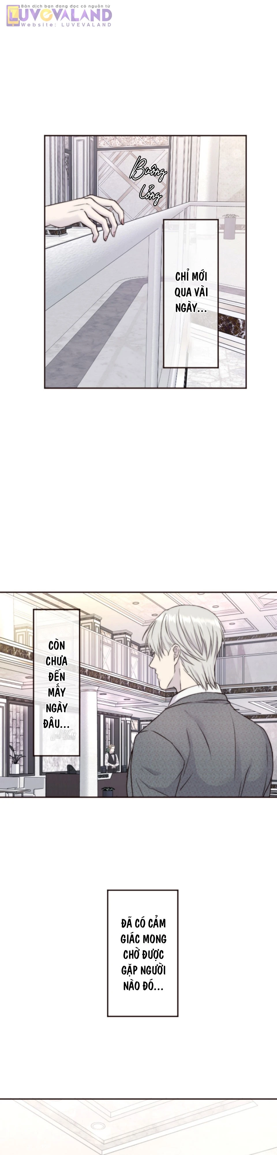 Cám Dỗ Nguy Hiểm Chapter 34 - 11