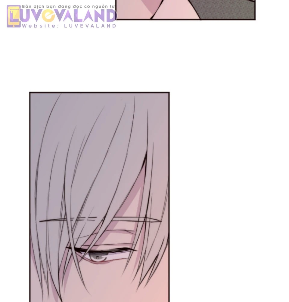 Cám Dỗ Nguy Hiểm Chapter 36 - 24