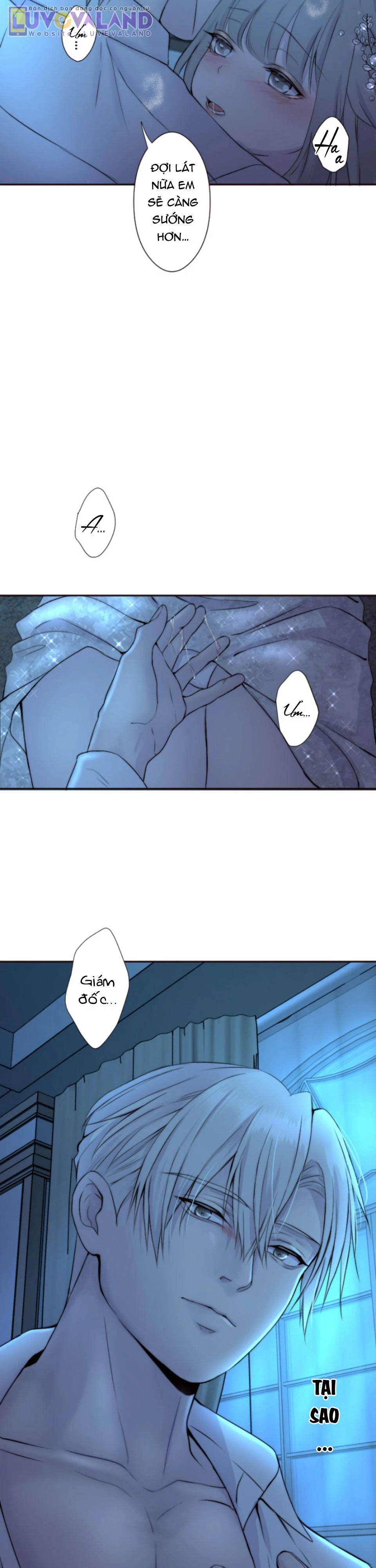 Cám Dỗ Nguy Hiểm Chapter 39 - 14