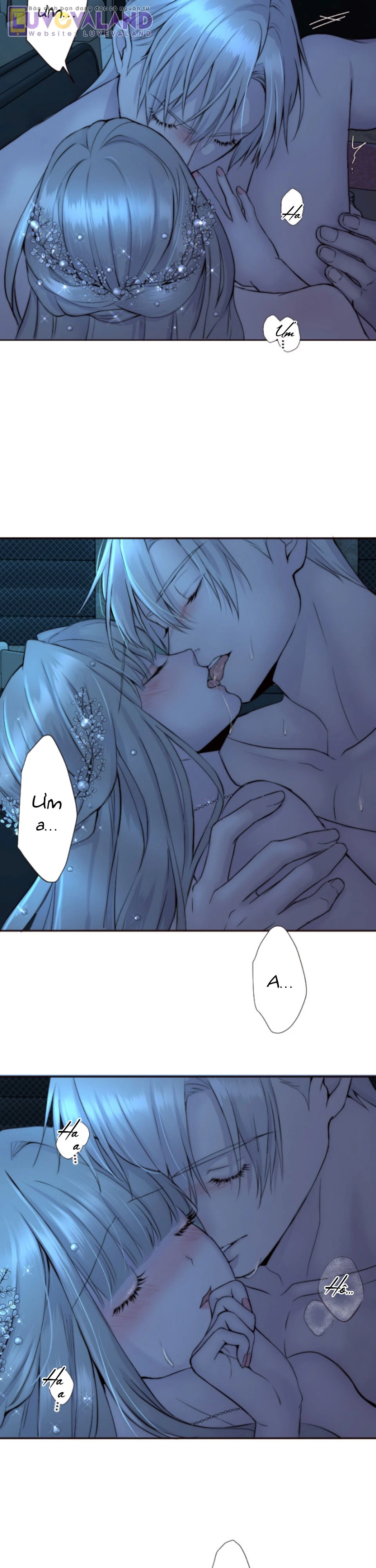 Cám Dỗ Nguy Hiểm Chapter 40 - 4