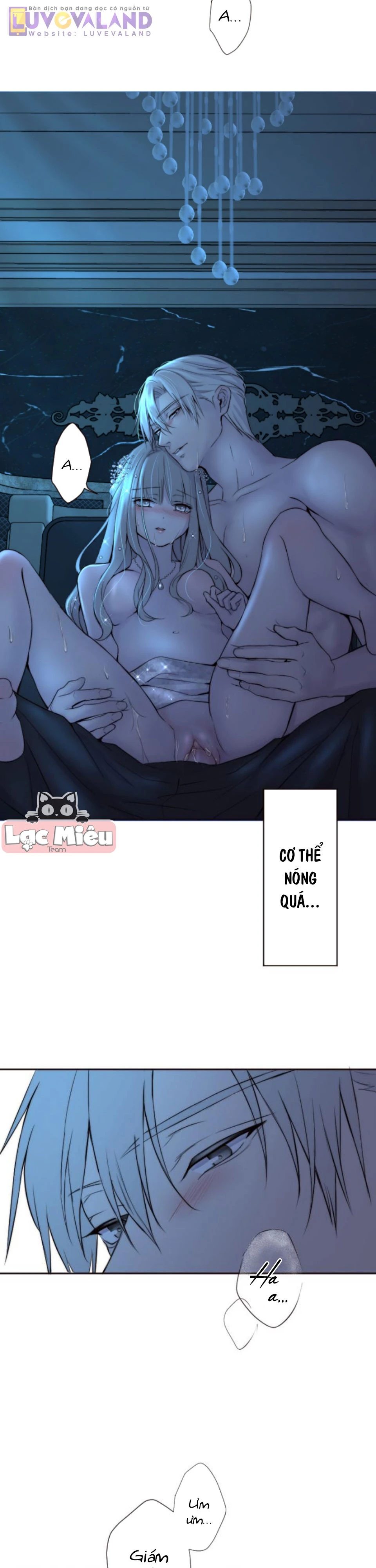 Cám Dỗ Nguy Hiểm Chapter 40 - 5